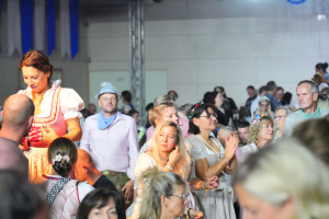 617   dsc07081
