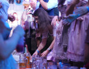 89   dsc06739